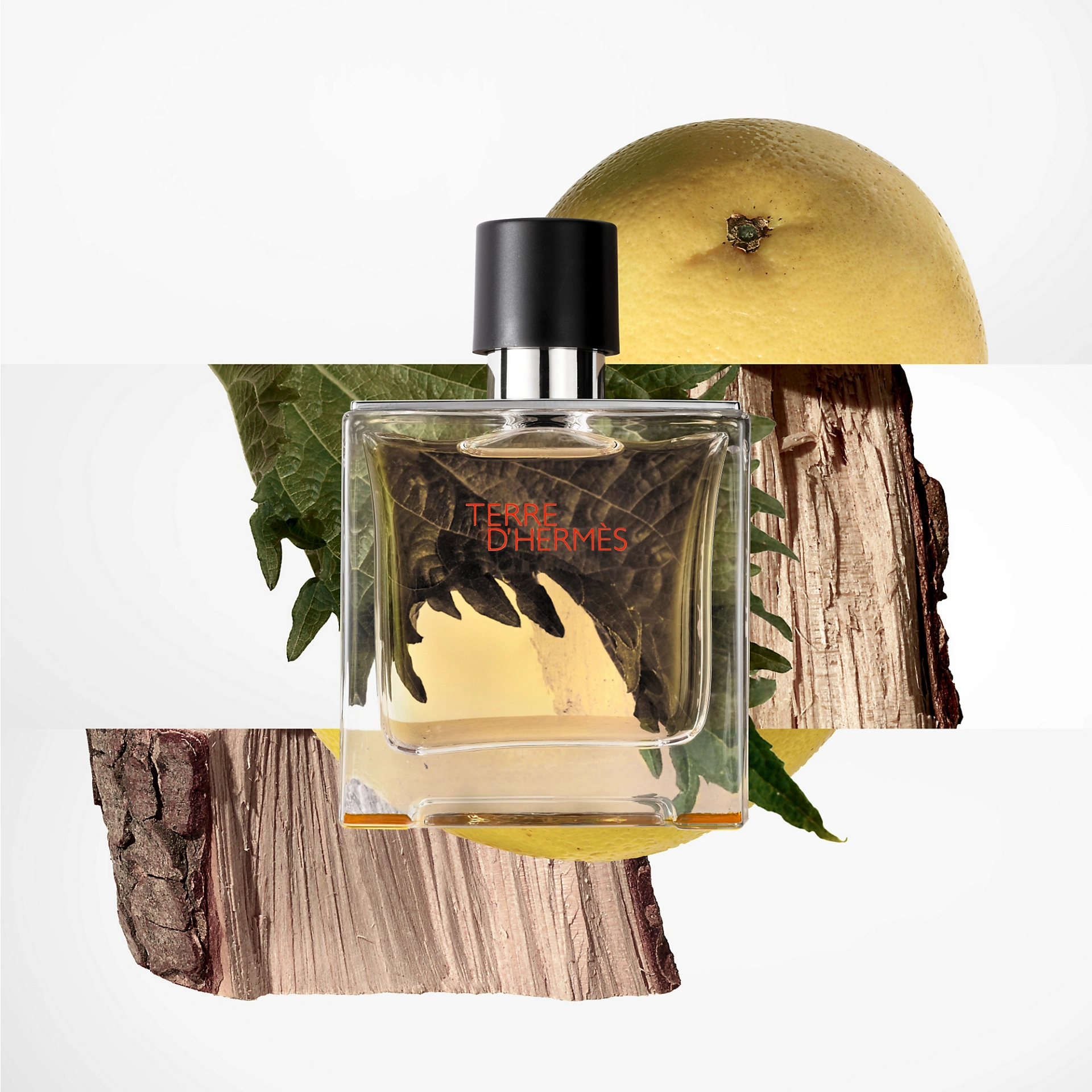 Hermès Hermès Terre D’Hermès 75 мл - Парфюмна Вода за Мъже ТЕСТЕР 2
