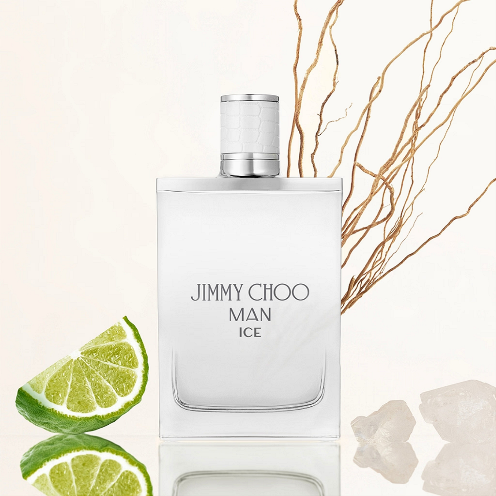 Jimmy Choo Jimmy Choo Man Ice 100 мл - Тоалетна Вода за Мъже 2