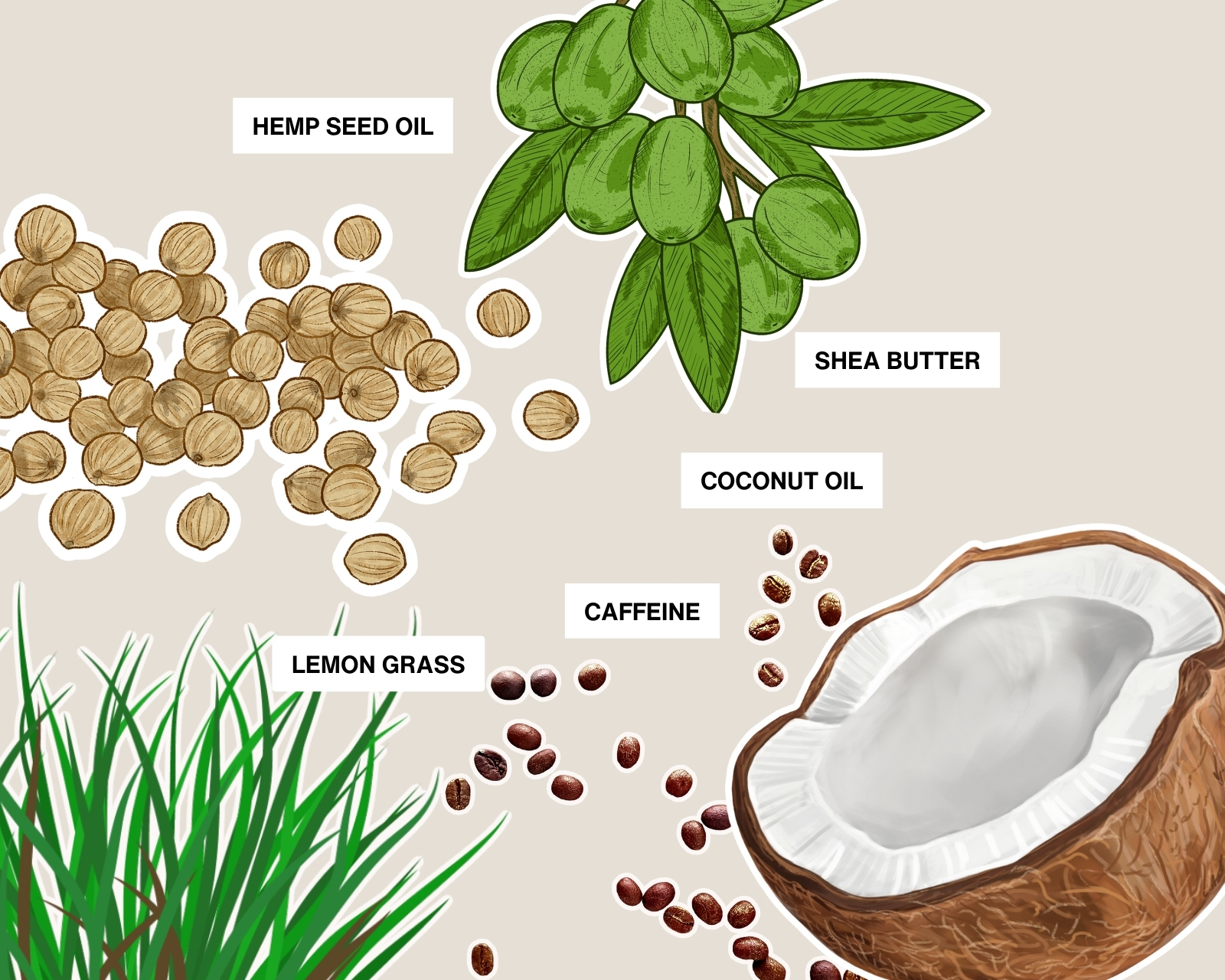 LABOR8 LABOR8 Hemp Body Balm 75 мл - Балсам за Тяло Унисекс 3