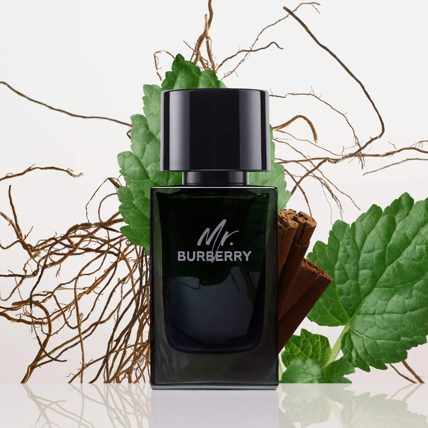 Burberry Burberry Mr. Burberry EDP 100 мл - Парфюмна Вода за Мъже ТЕСТЕР 2