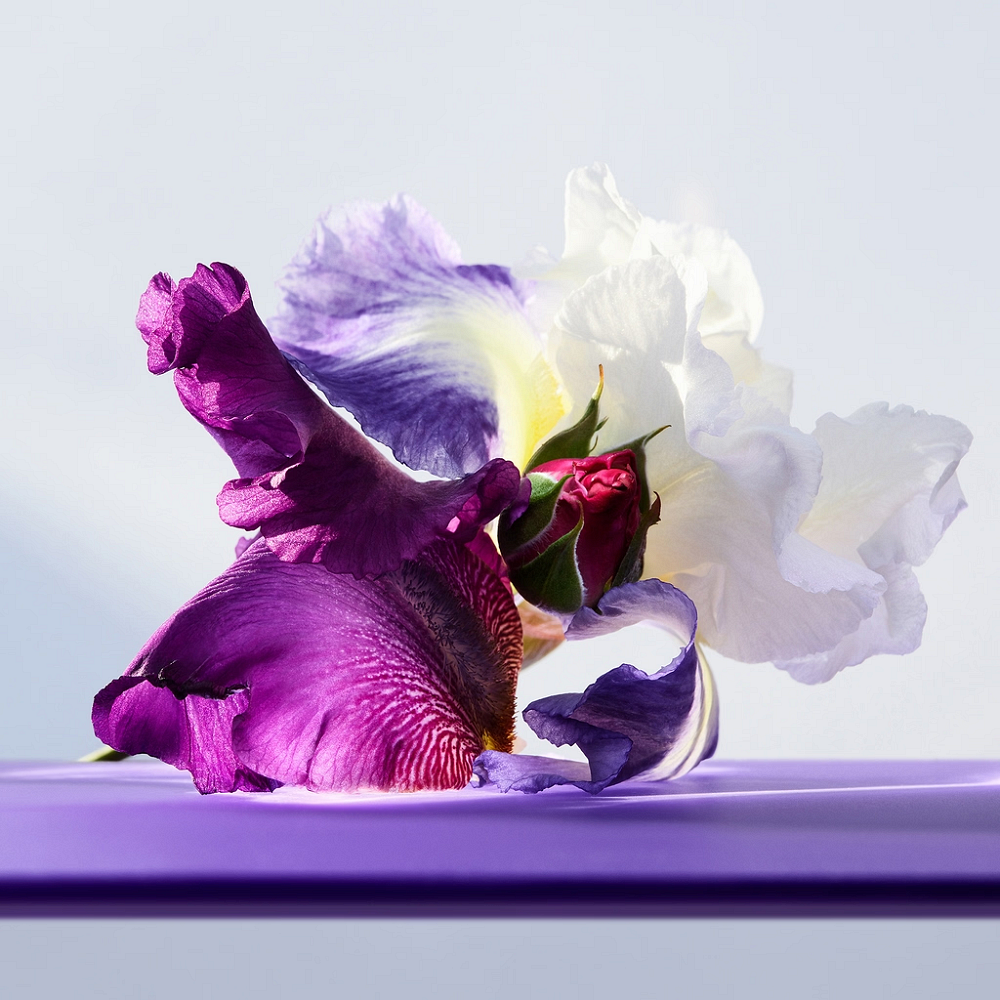 Bulgari Bvlgari Omnia Amethyste EDT 50 мл- Тоалетна Вода за Жени 5