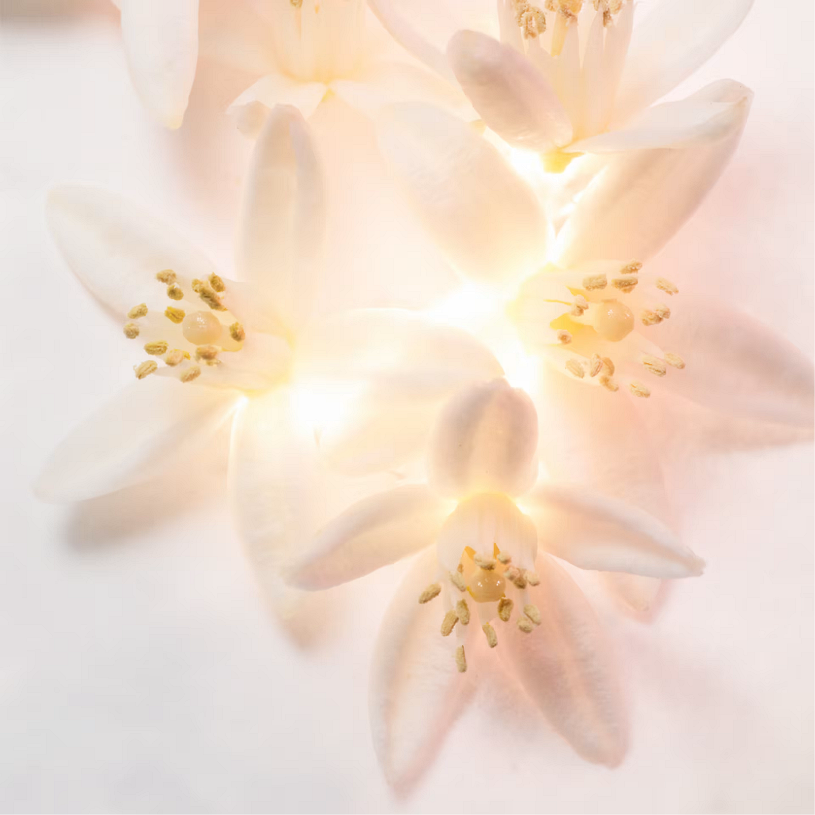 Bulgari Bvlgari Allegra Magnifying Neroli Essence 40 мл - Парфюмна Вода за Жени ТЕСТЕР 3