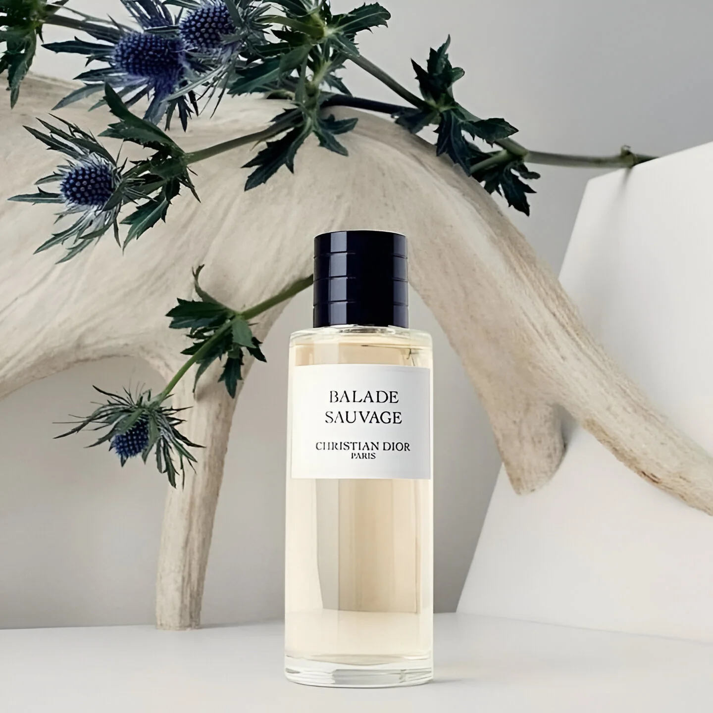 Christian Dior Christian Dior Balade Sauvage EDP 250 мл - Парфюмна Вода Унисекс ТЕСТЕР 3