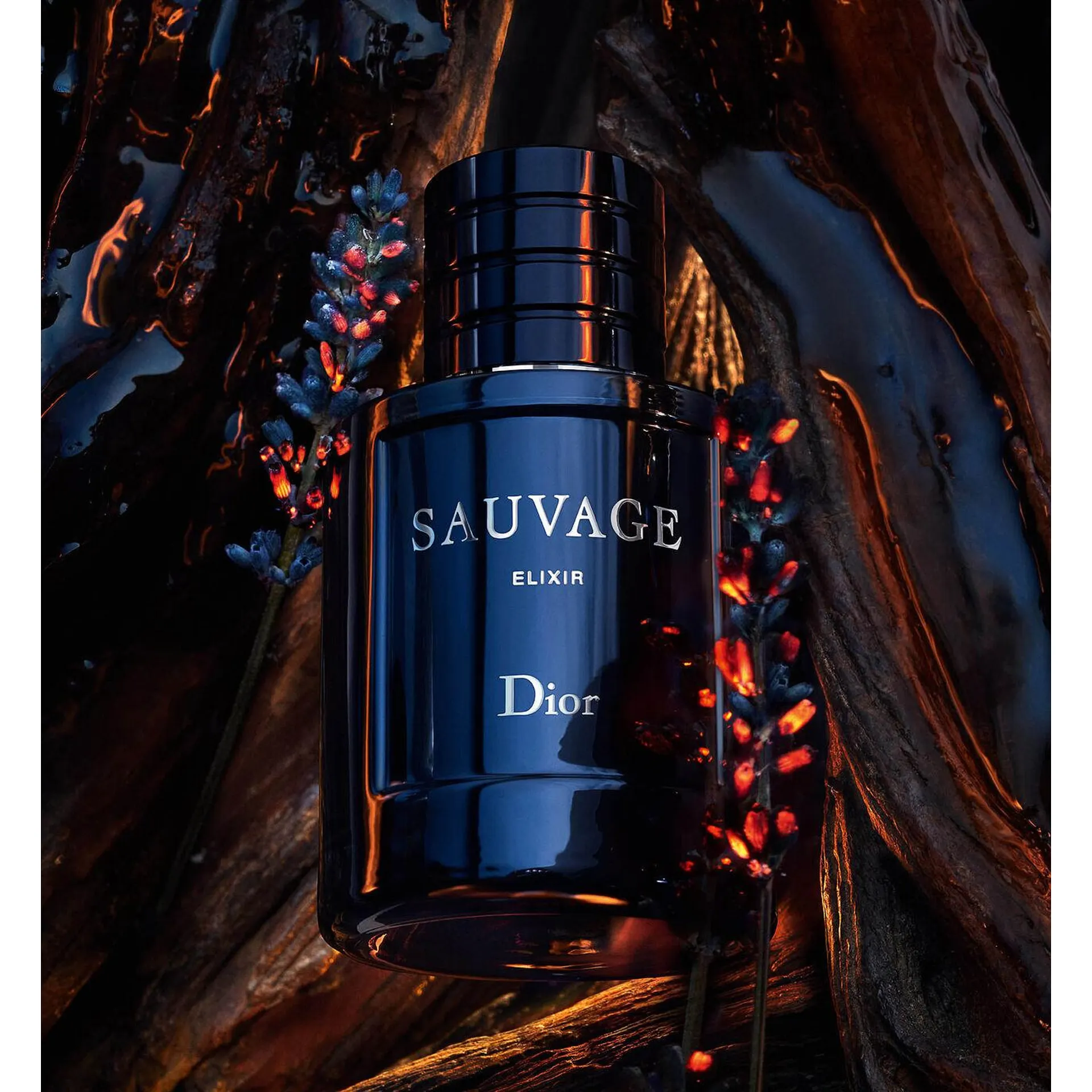 Christian Dior Christian Dior Sauvage Elixir EDP 60 мл- Парфюмен Елексир за Мъже ТЕСТЕР 2
