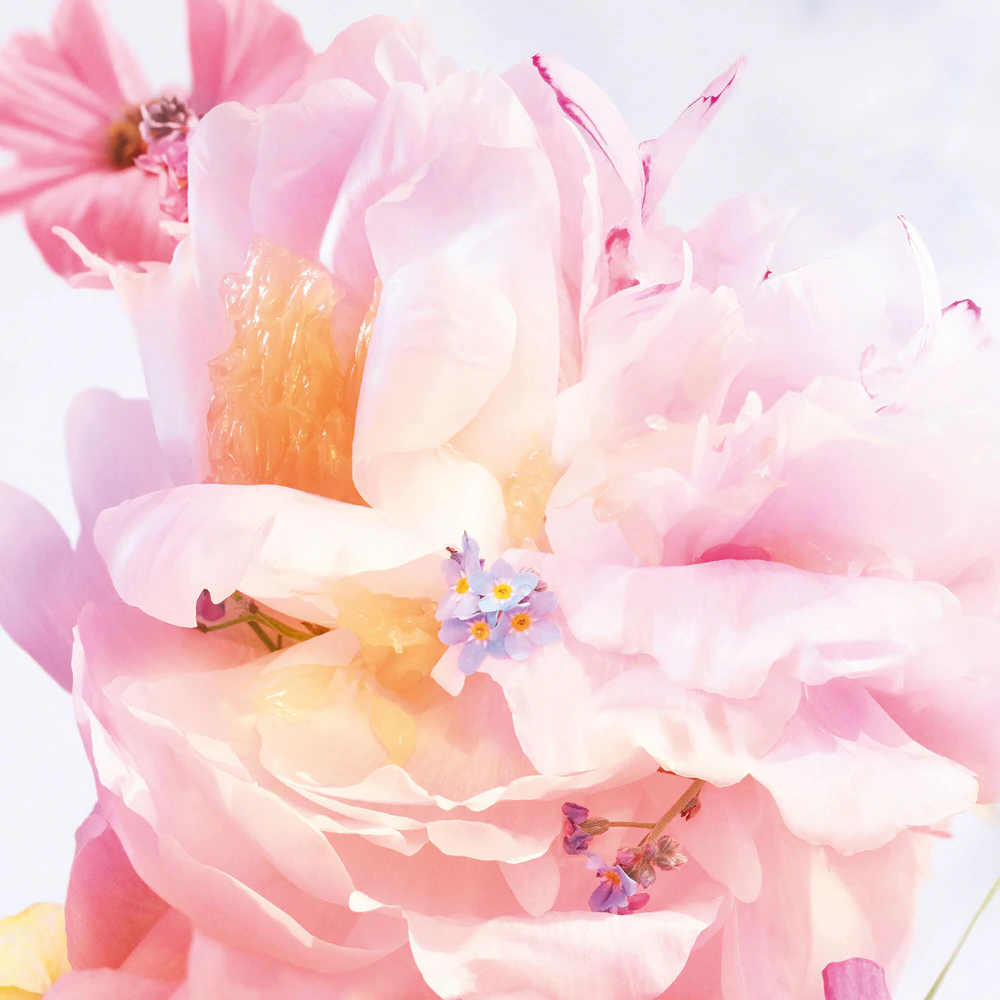 Christian Dior Christian Dior Miss Dior Roller Pearl Blooming Bouquet 20 мл- Тоалетна Вода Апликатор за Жени Тестер 4