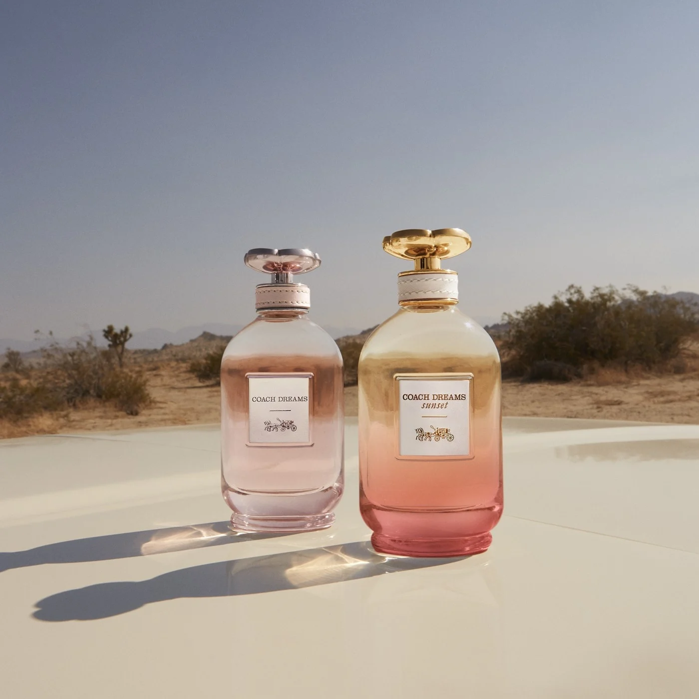 Coach Coach Coach Dreams Sunset EDP 90 мл - Парфюмна Вода за Жени 5