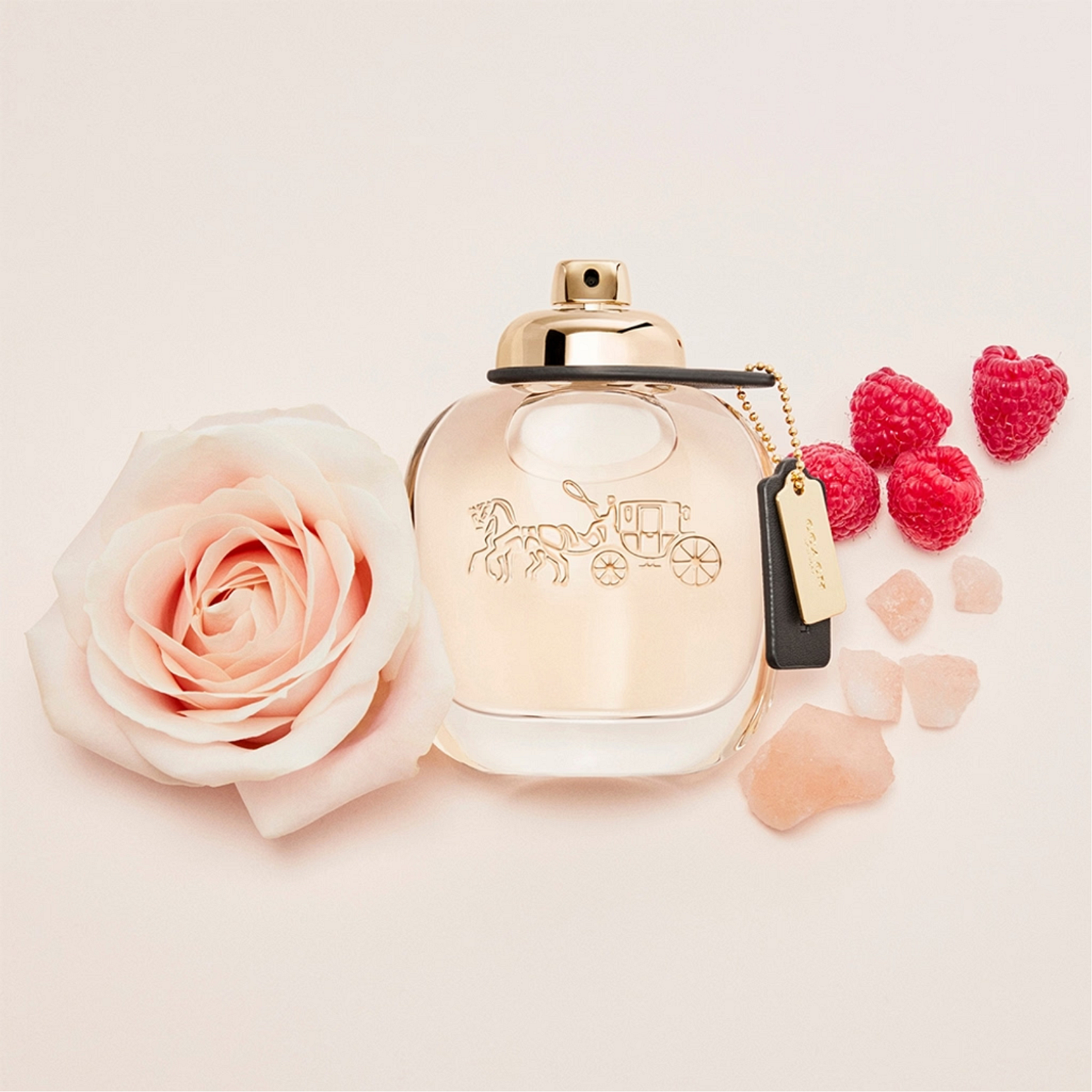 Coach Coach Coach EDP 50 ml D 4