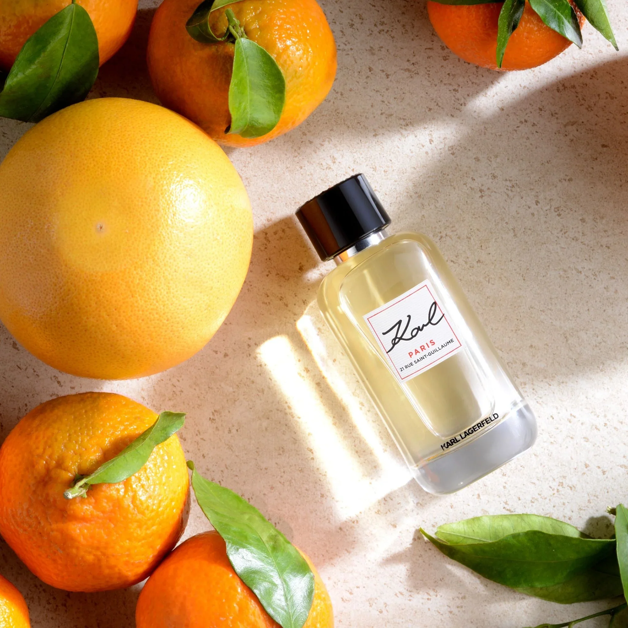 Karl Lagerfeld Karl Lagerfeld Karl Paris 21 Rue Saint Guillaume EDP 100 мл - Парфюмна Вода за Жени ТЕСТЕР 2