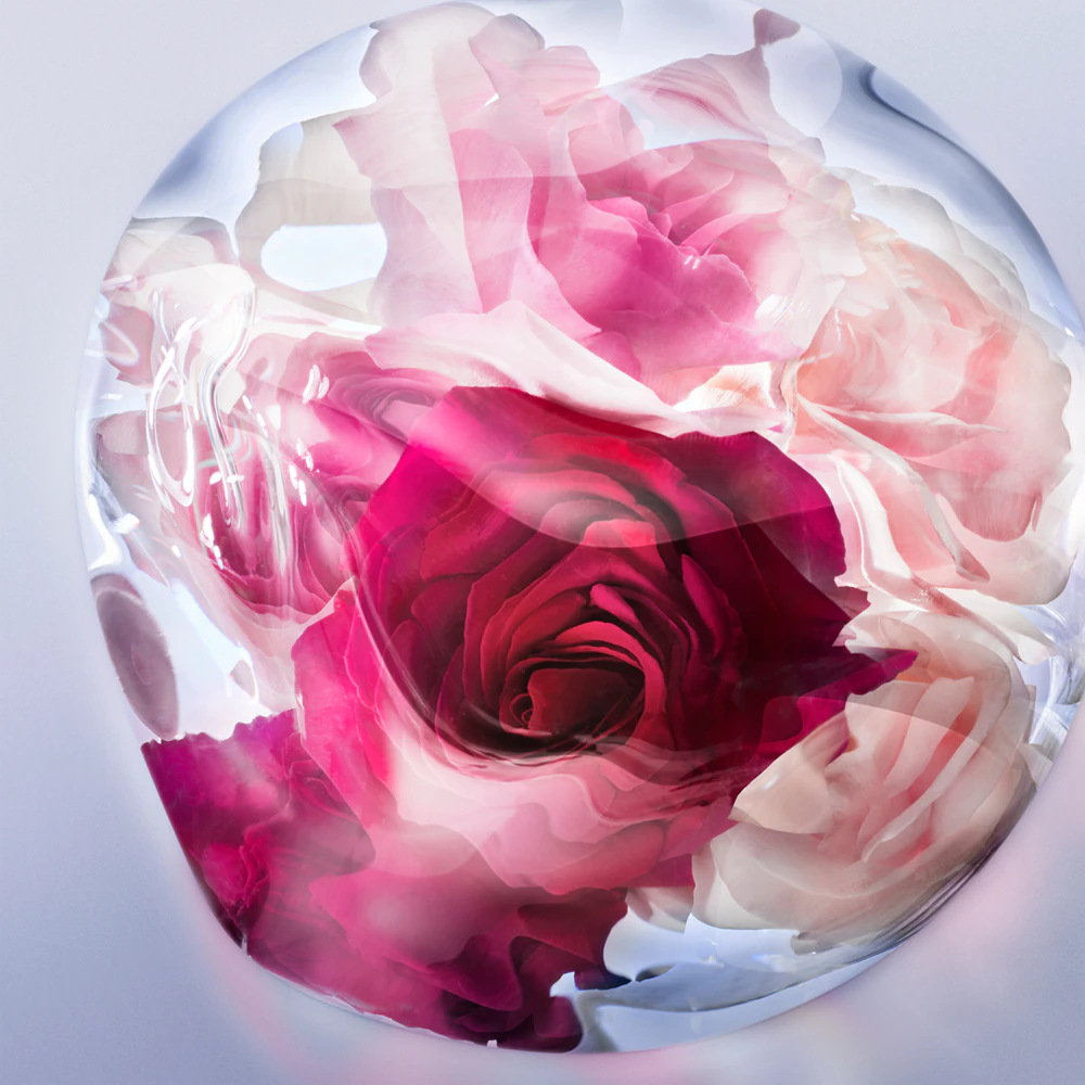 Lancôme Lancome La Vie Est Belle Rose Extraordinaire 50 мл - Парфюмна Вода за Жени 3