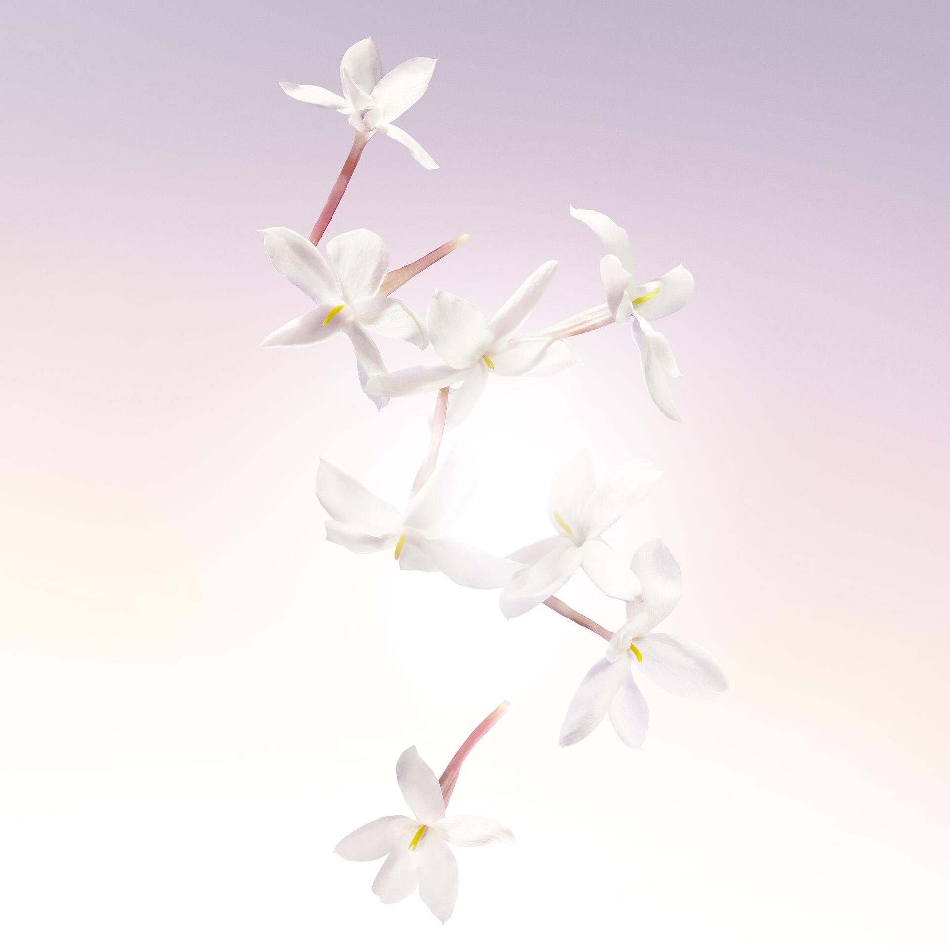 Lancôme Lancome Idole Le Parfum 50 мл - Парфюмна Вода за Жени ТЕСТЕР 7