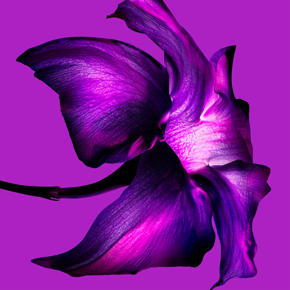 Thierry Mugler Thierry Mugler Alien Extraintense 90 мл - Парфюмна Вода за Жени (Тестер) 2