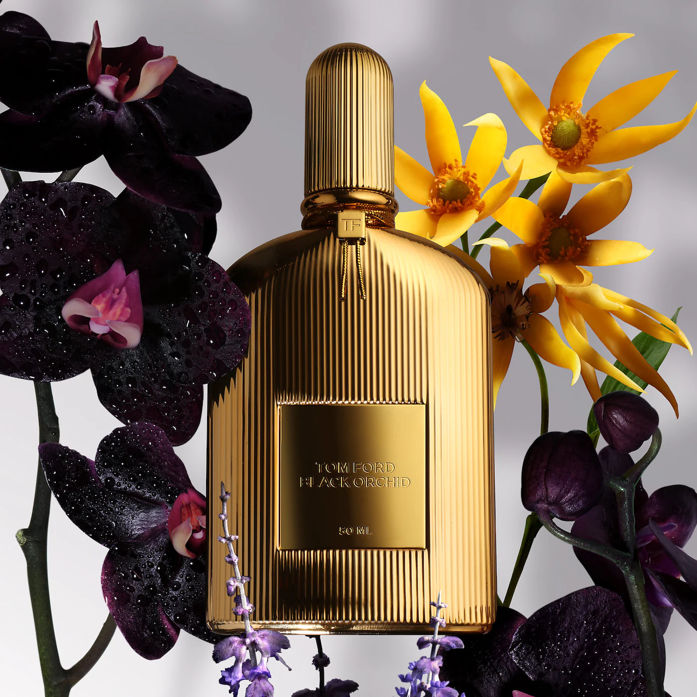Tom Ford Tom Ford Black Orchid Parfum 100 мл - Парфюм Унисекс 2