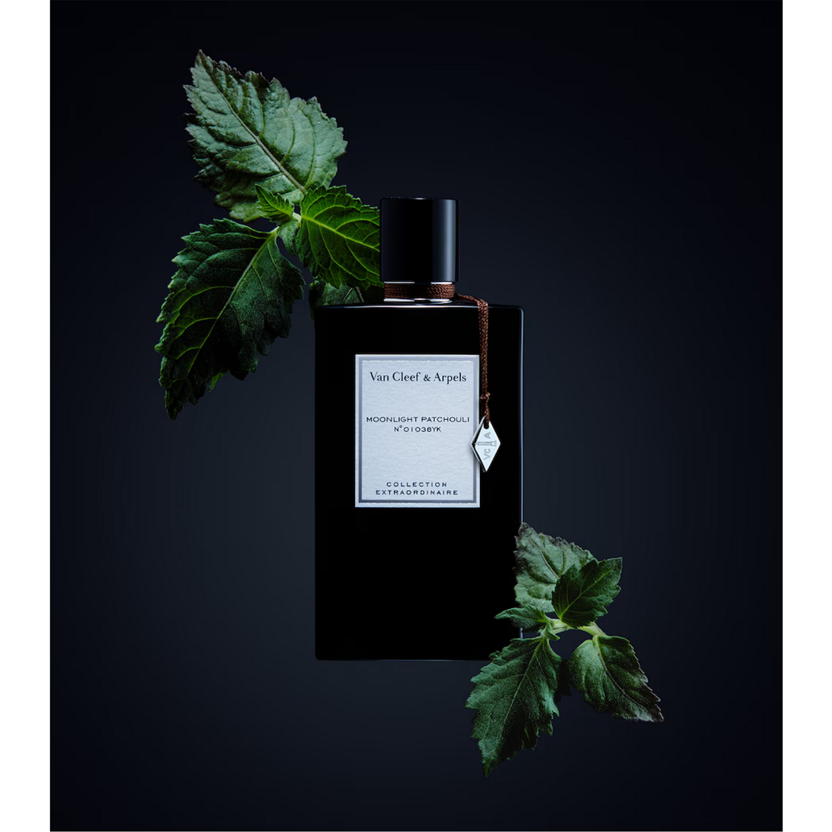 Van Cleef & Arpels Van Cleef & Arpels Moonlight Patchouli 75 мл - Парфюмна Вода Унисекс 3