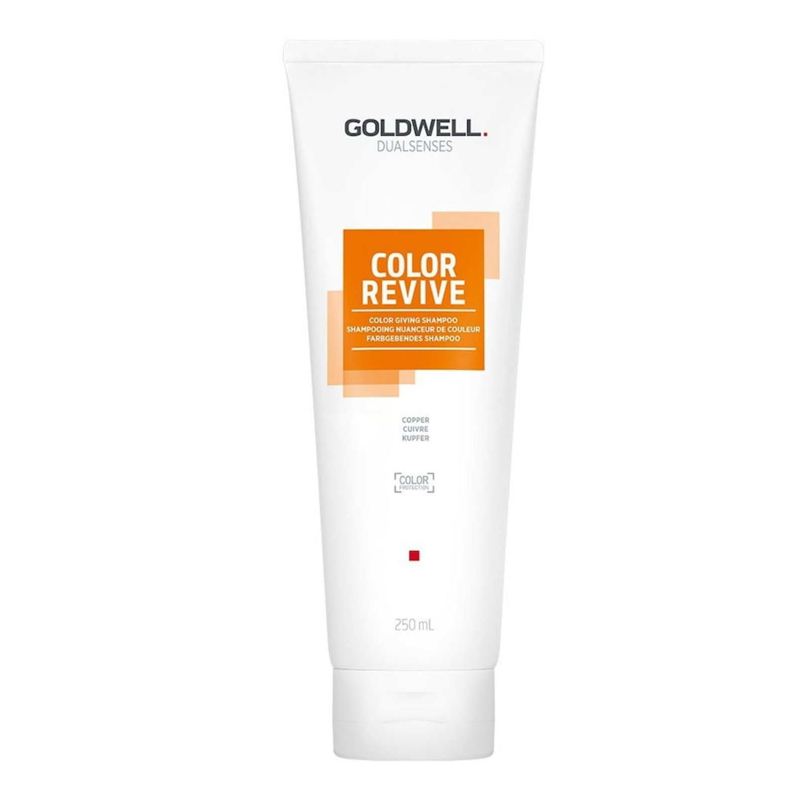Goldwell Goldwell Dualsenses Color Revive Hair Colour — Шампоан, 250 мл 1